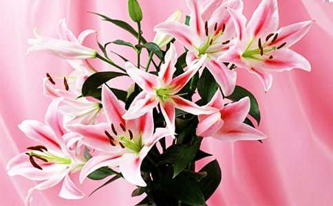 �������ϵİٺϻ�������л���[15ƪ]