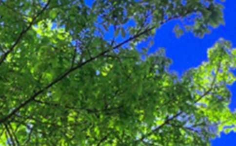 ���õ��簲�ʺ�������51��