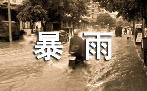 暴雨小学作文