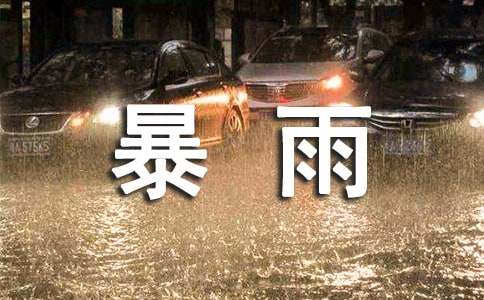 暴雨小学作文通用15篇