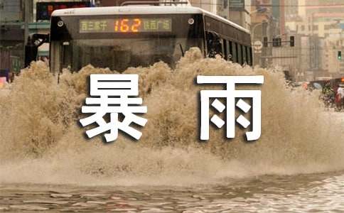 《在烈日和暴雨下》说课稿