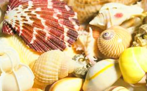 �Ա���Ϊ���������