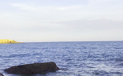 大海睡了说课稿