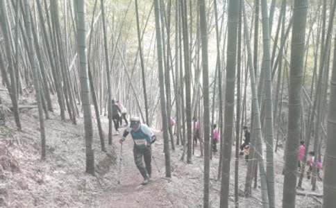 精选登山小学作文汇总九篇