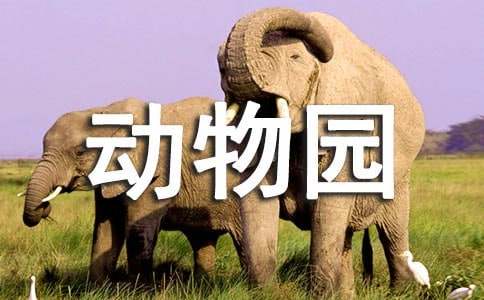 动物园游记小学作文集锦15篇