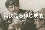 钢铁是怎样炼成的读后感(15篇)