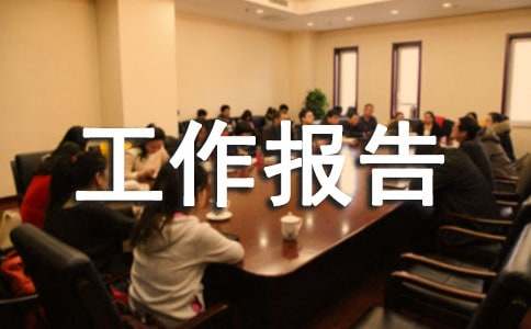 个人试用期工作报告