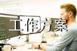 实用的工作方案模板五篇