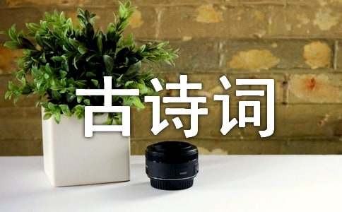 古诗词大会观后感