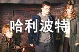 电影《哈利波特》观后感