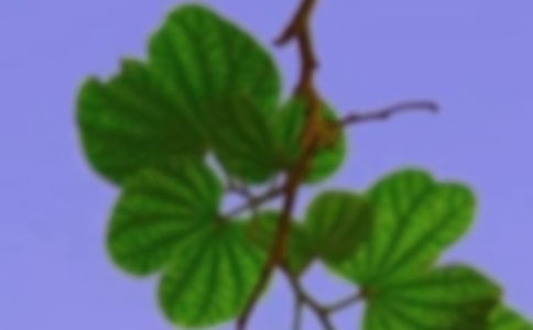 以和谐为话题的初中作文