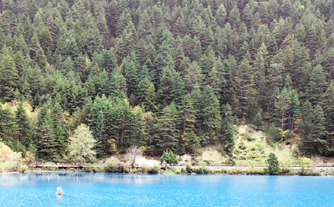 九寨沟旅游心得体会
