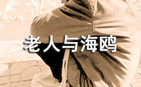 老人与海鸥语文教学设计范文