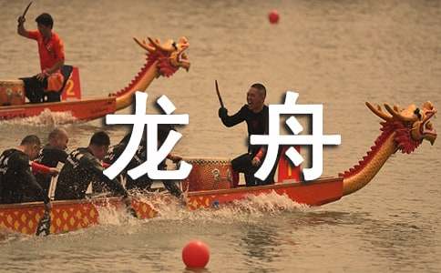 《乐山龙舟会》教学反思总结