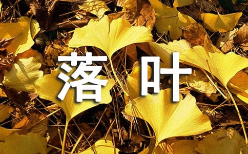 ��Ҷ��ѧ��˼