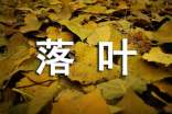 落叶初中作文