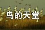 有关鸟的天堂教案4篇