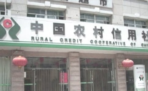 农村信用社农户联保借款合同范本