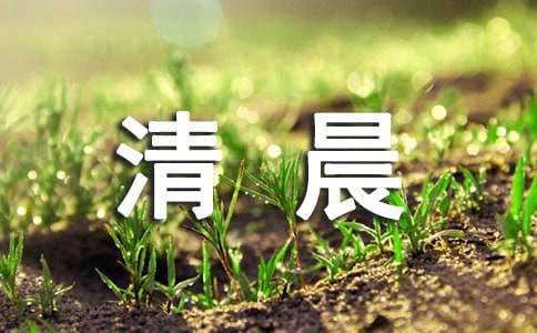 清晨小学生作文8篇