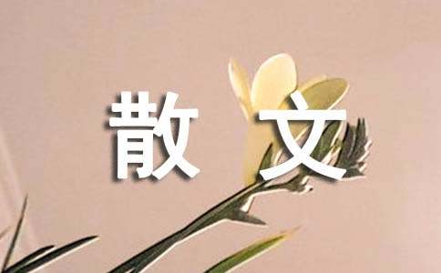 看散文有感