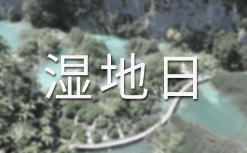 世界湿地日宣传活动总结