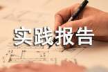 高中生社会实践报告(集合15篇)