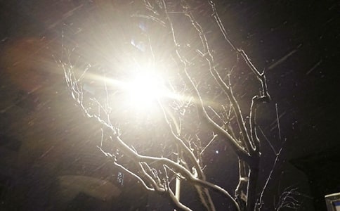 2016描写下雪的初中优秀作文600字