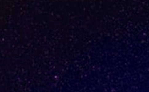 仰望星空高中作文900字