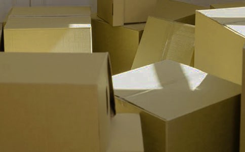 小刺猬运纸箱小班健康教案2篇