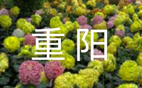 重阳佳节祝福语210句