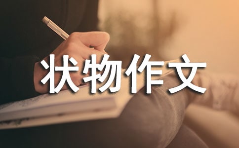 优秀的初中状物作文800字(精选40篇)