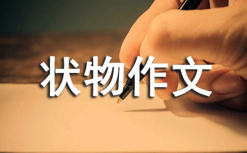 有关初中状物作文300字集锦九篇