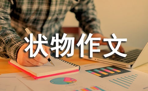 高墙之花高中状物作文