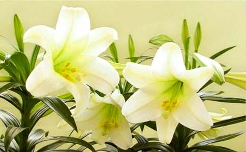 ���ٺϻ����̰�