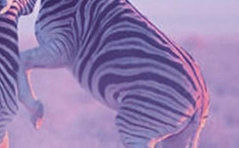 �������ܶ�Ա���ۺ��