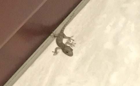 С�ڻ���β�ͽ�ѧ���15ƪ