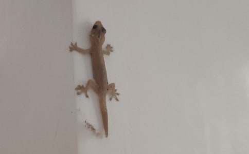 ��С�ڻ���β�͡���ѧ��˼15ƪ