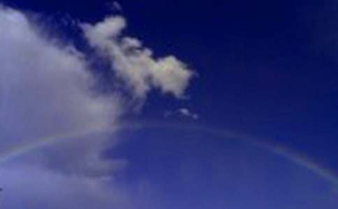 �ʺ�ɫ�Ļ��̰�