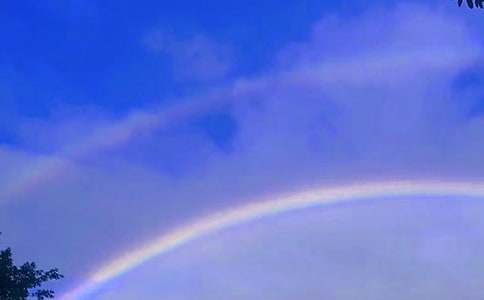 彩虹桥儿歌教案