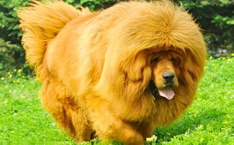 ҡ������ۺ��