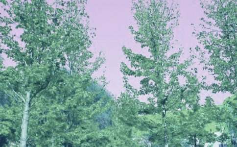 ���绯��ۺ��