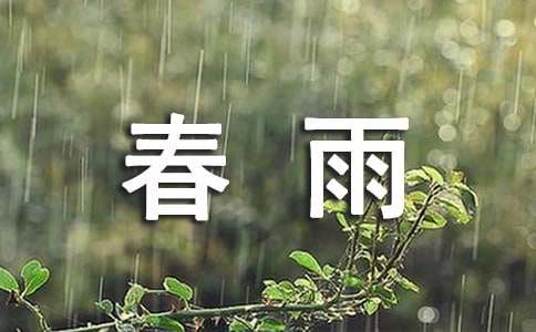 春雨的色彩说课稿