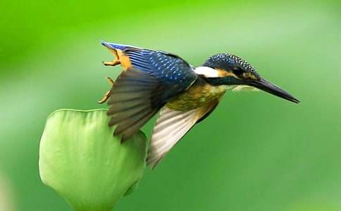 �����ʦ��ѧ��˼