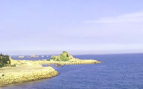 《大海睡了》教学