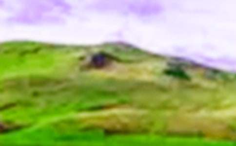 �����ɹ��Ƿ���Զ���Ĵ�ɽ���и�