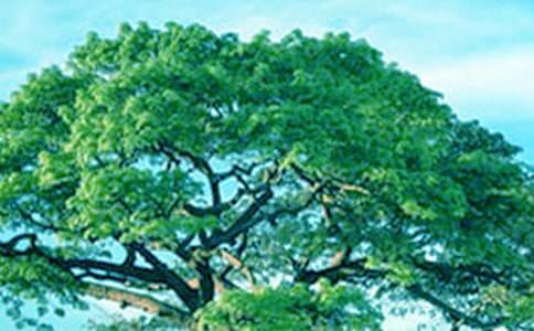 ���������衷��ѧ��˼