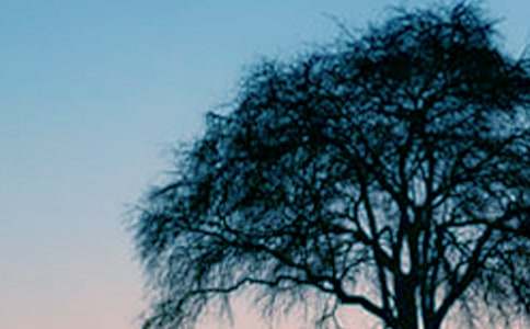 ���������ѧ��˼15ƪ