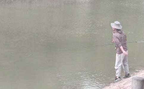 小猫钓鱼教学反思