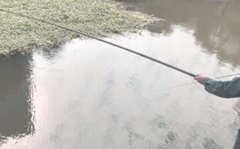 ����Сѧ����15ƪ