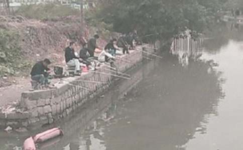 Сè����˵�θ�